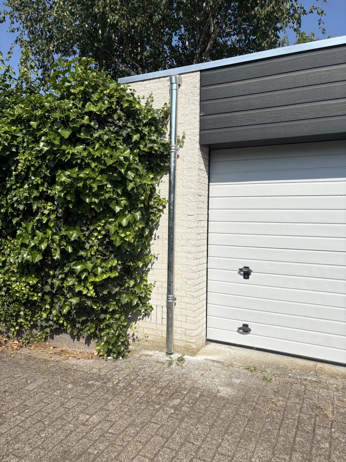 Boeidelen en regenpijpen, Patrick's Dakonderhoud
